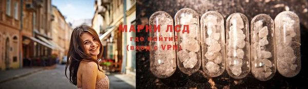 прущие грибы Алексин