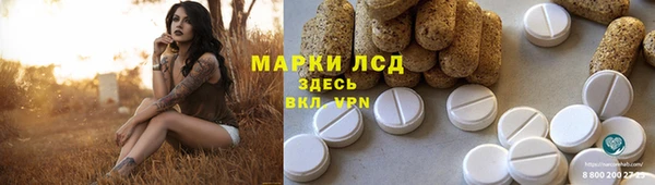 хмурый Алзамай