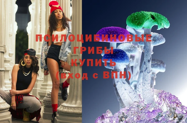 хмурый Алзамай