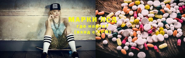 хмурый Алзамай