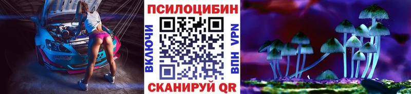 Галлюциногенные грибы Psilocybine cubensis  Грайворон 